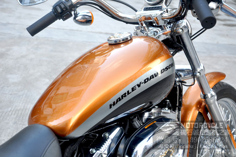 08年哈雷XL1200 (9)改.jpg