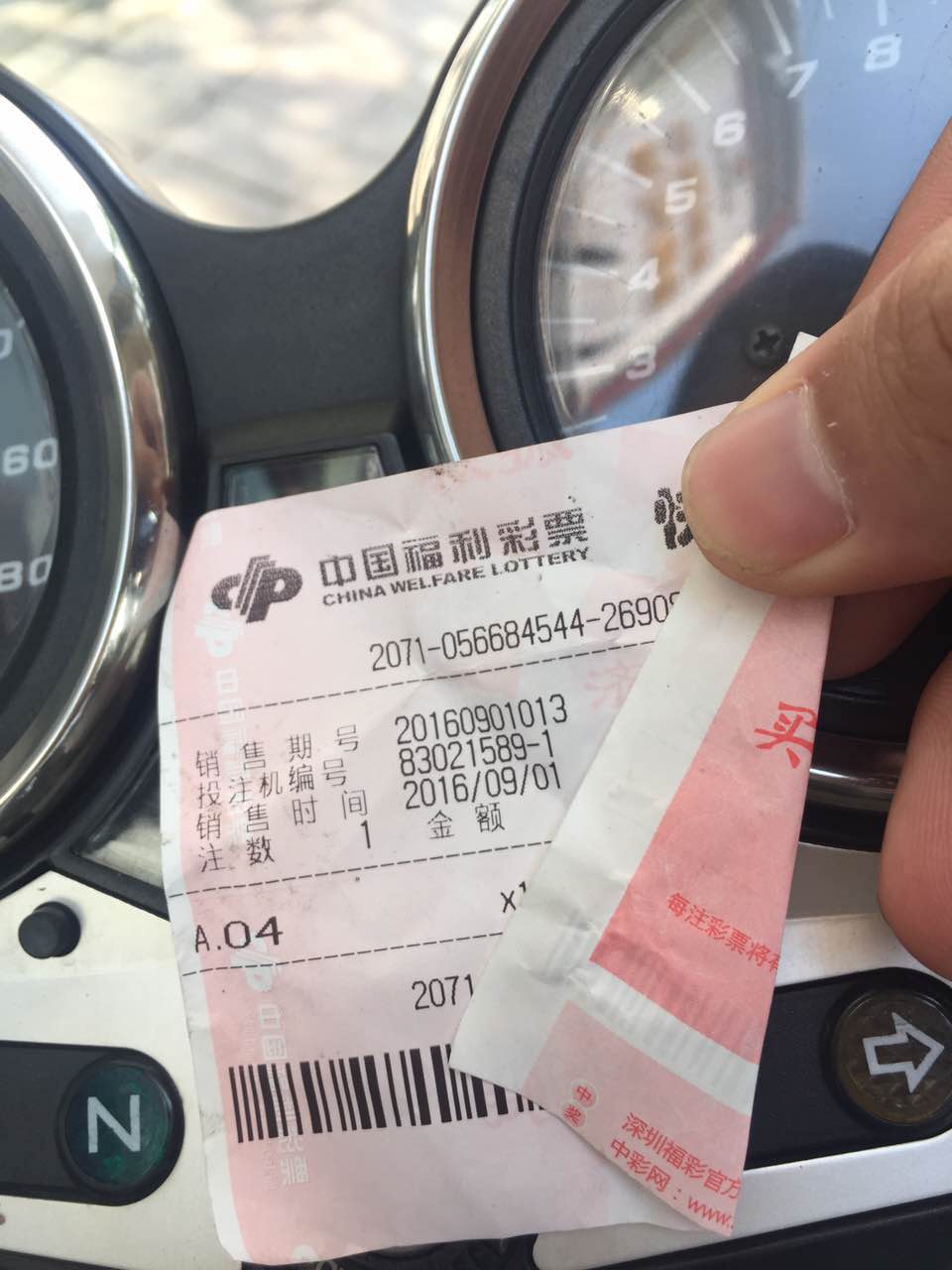 55379976909590231.jpg