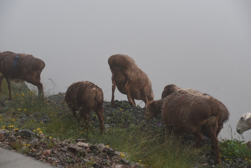 DSC_8526_调整大小.JPG