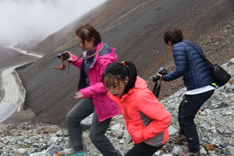 DSC_8537_调整大小.JPG