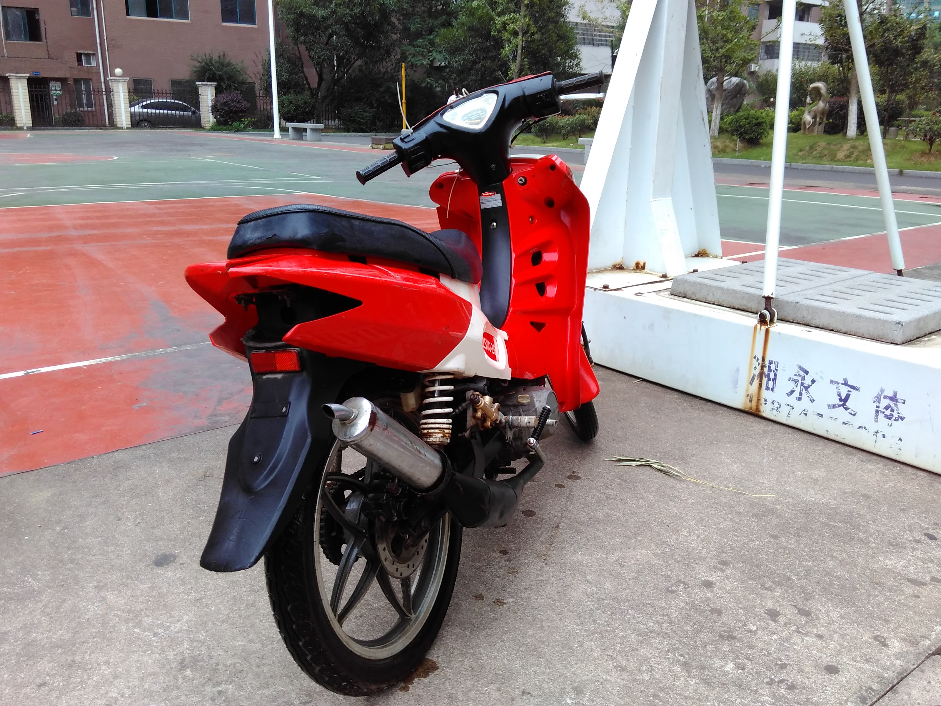 IMG_20160906_084801.jpg