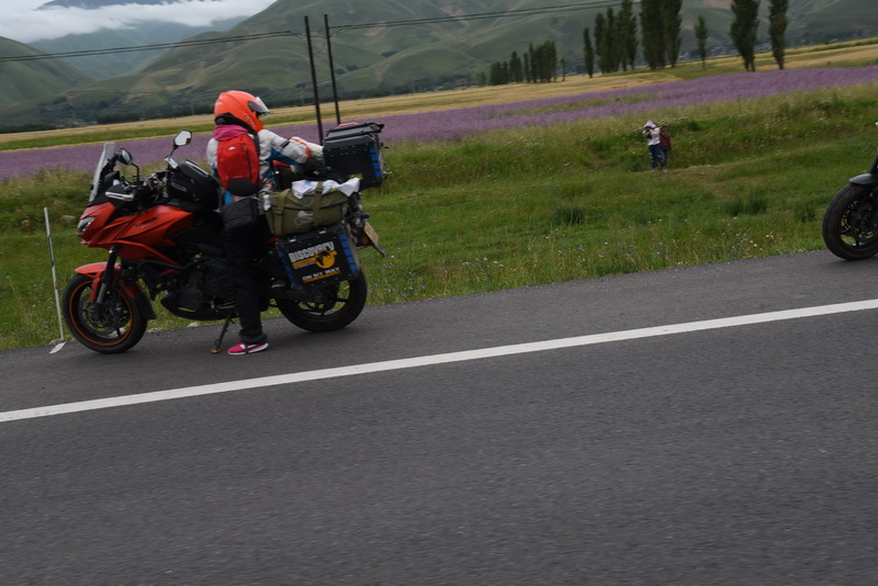 DSC_8687_调整大小.JPG