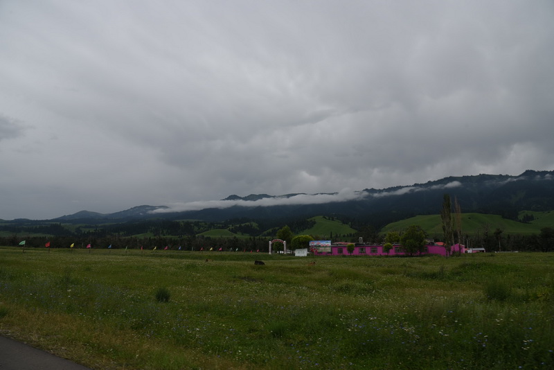 DSC_8689_调整大小.JPG