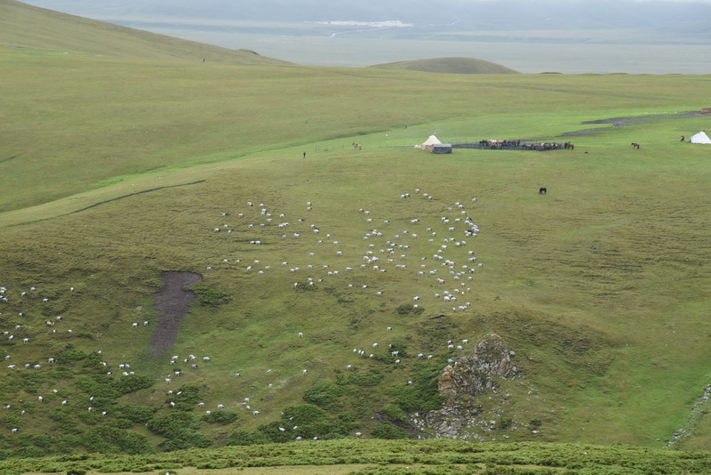 DSC_8734_调整大小.JPG
