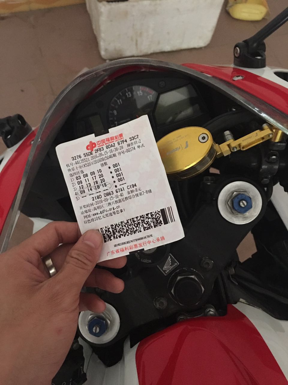 236548930282389067.jpg