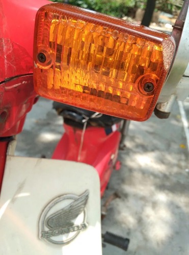 image.jpeg