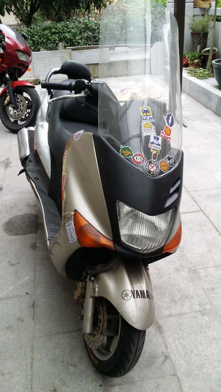480205339889811125.jpg
