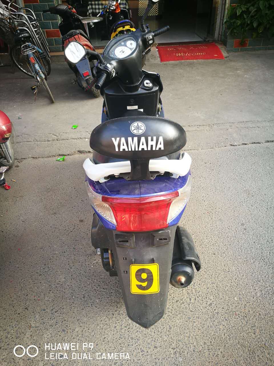 image.jpg