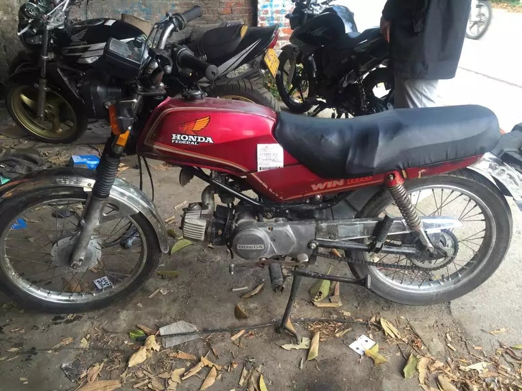 yz3.jpg