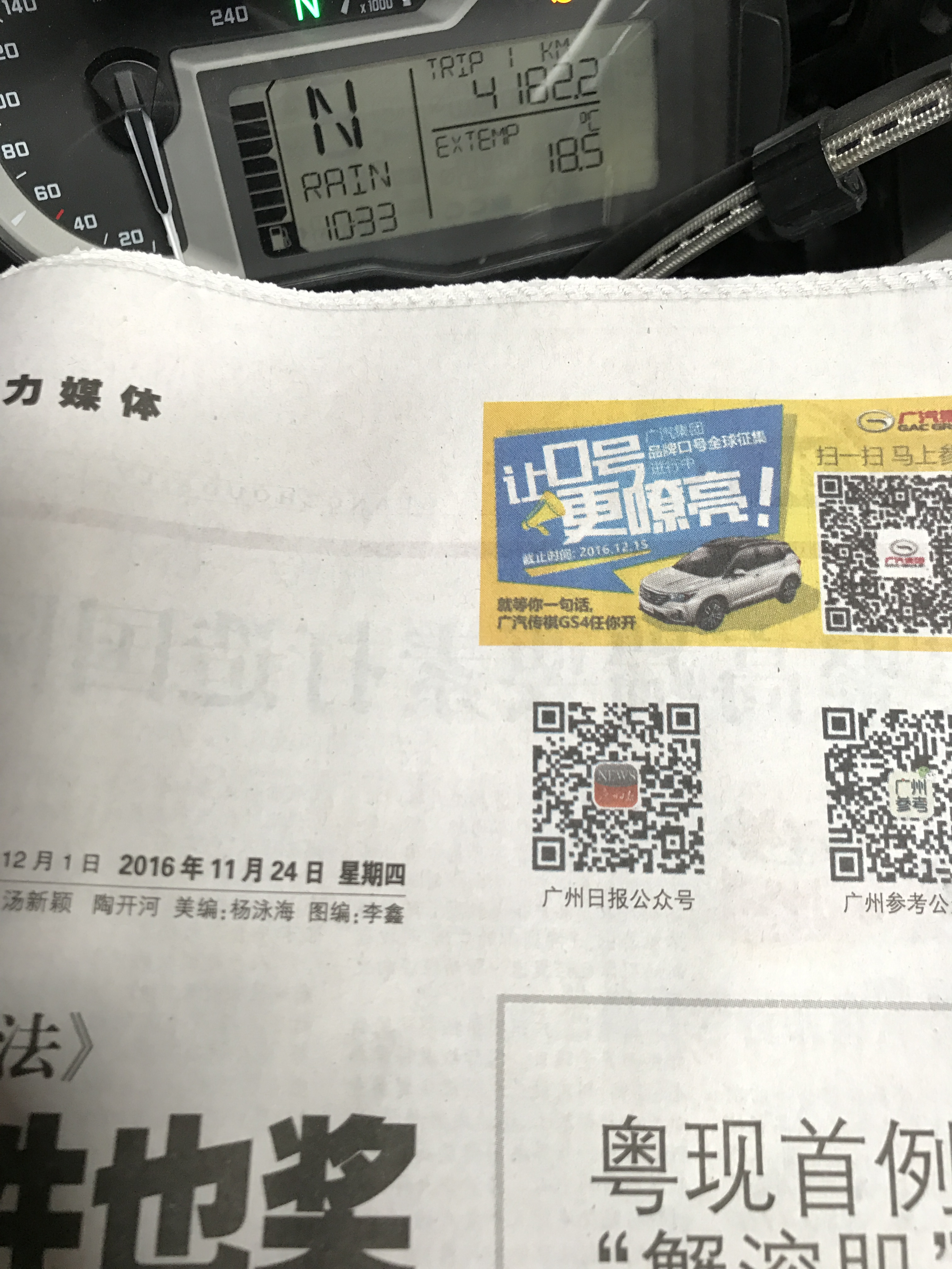 水鸟10.jpg