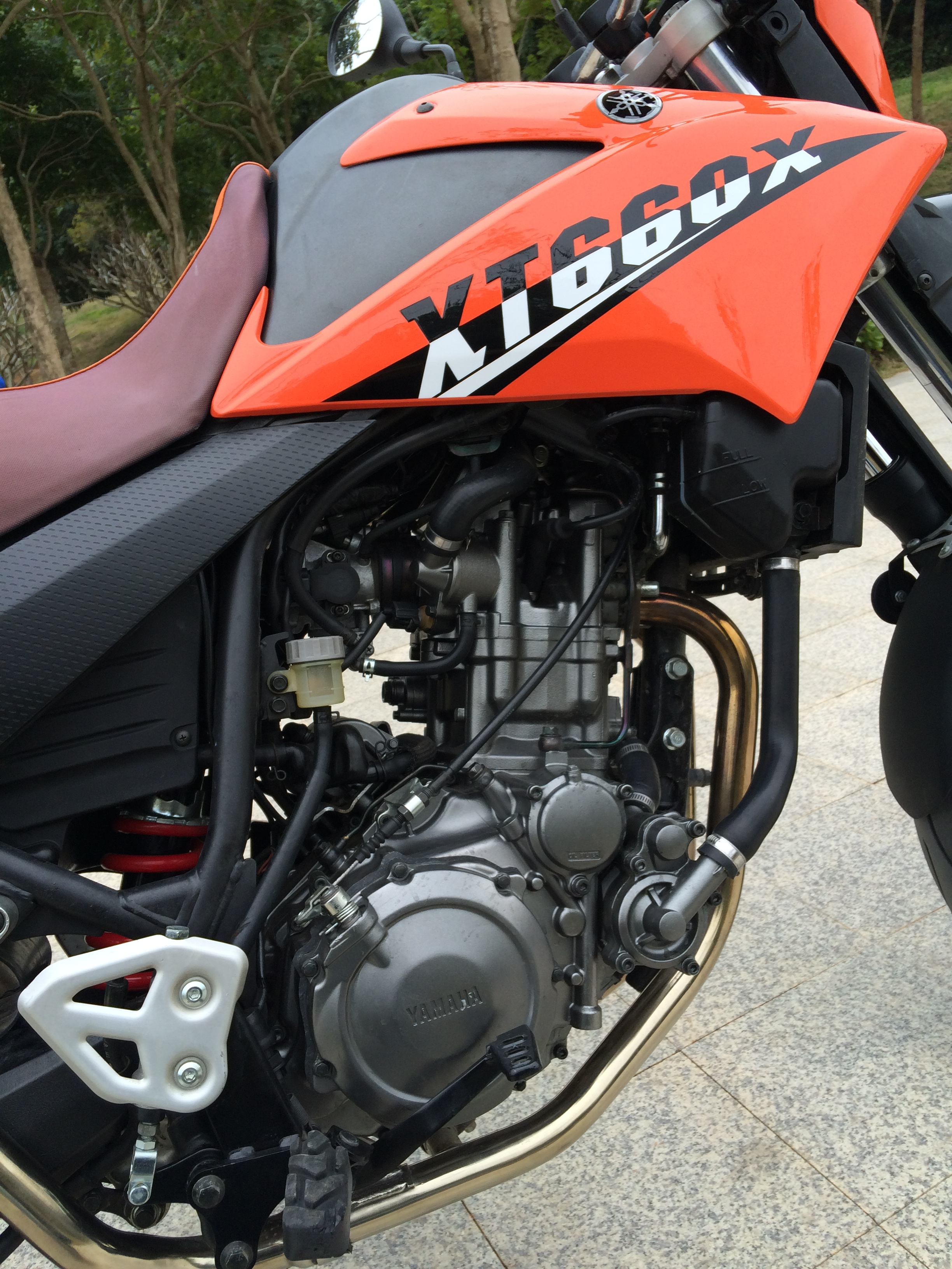 xt660x 8.JPG