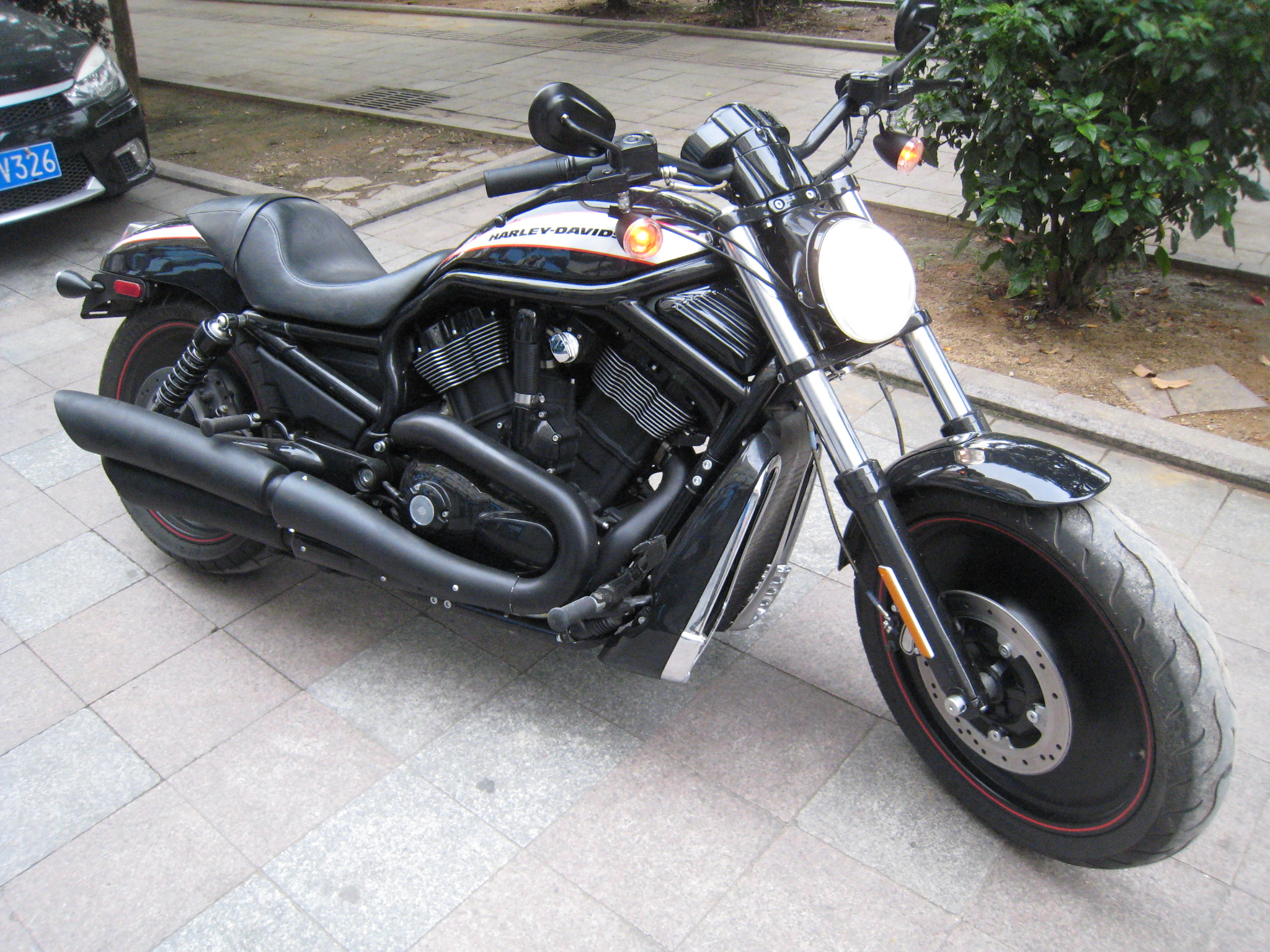 IMG_8629.JPG
