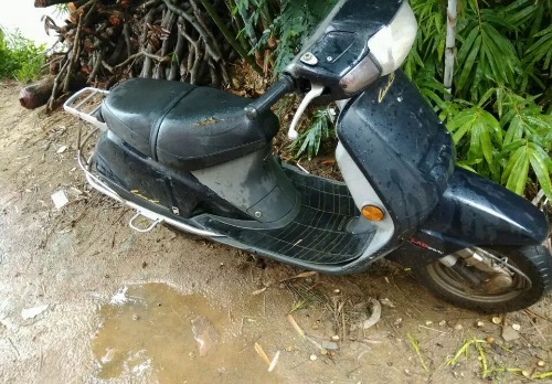 image.jpeg