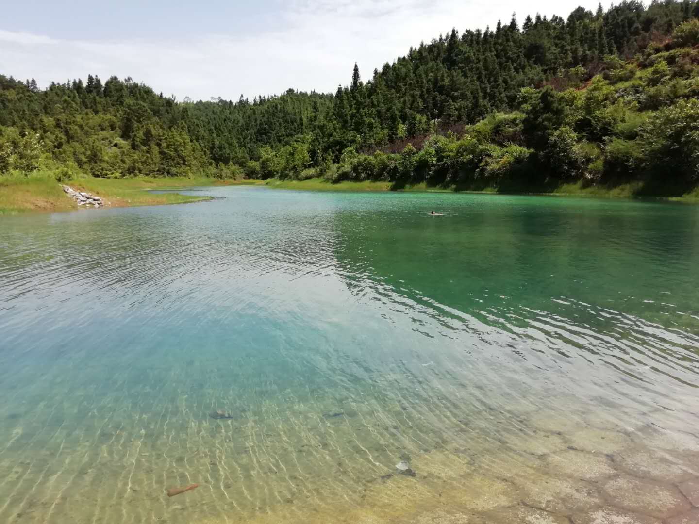 微信图片_20190705144054.jpg