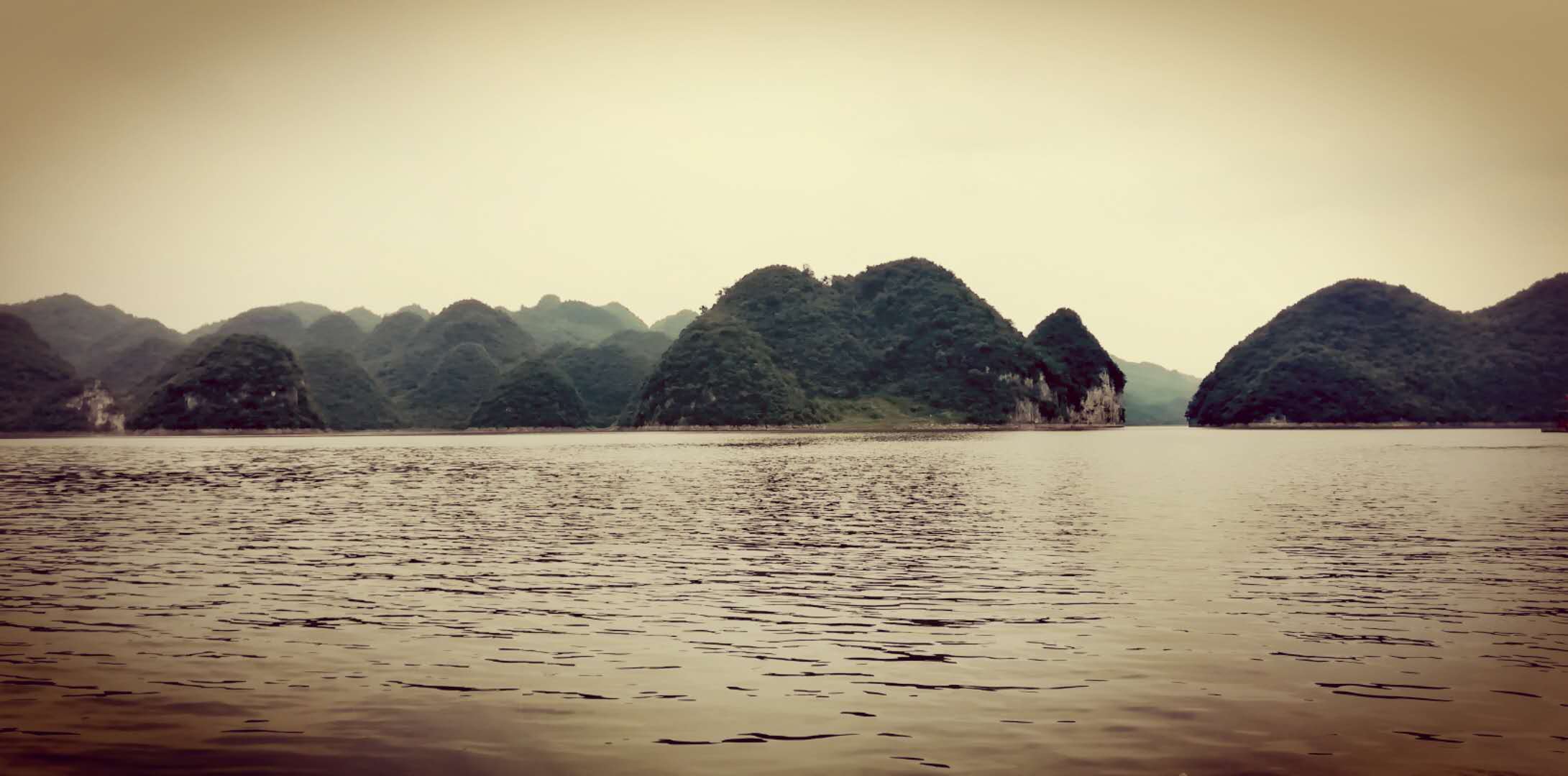 微信图片_20190705144113.jpg