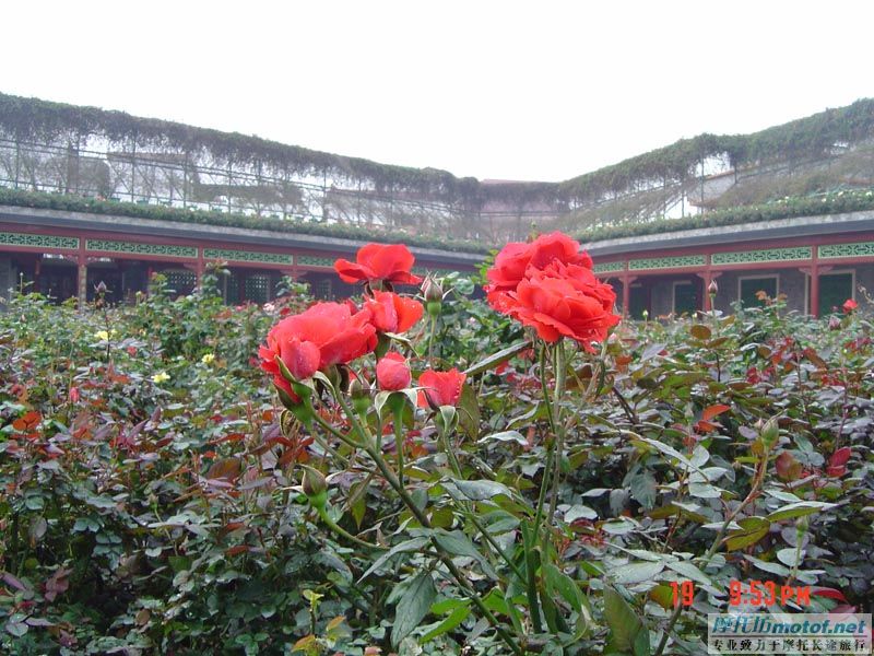 江门M2广西游花絮!