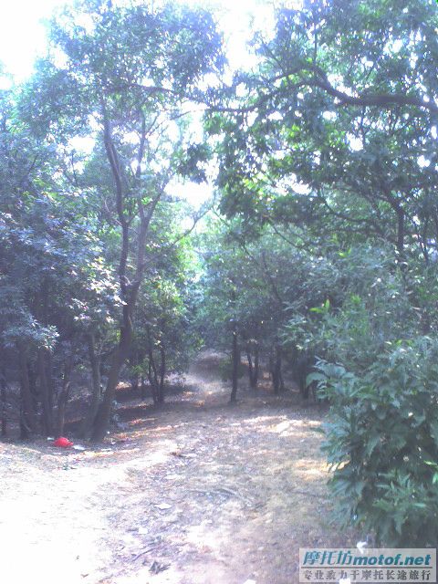 《过山峰以完成了梦想》《续集》