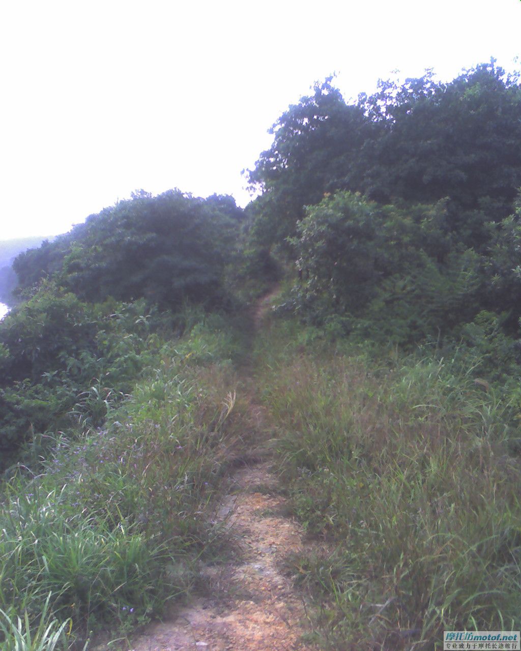 《过山峰以完成了梦想》《续集》