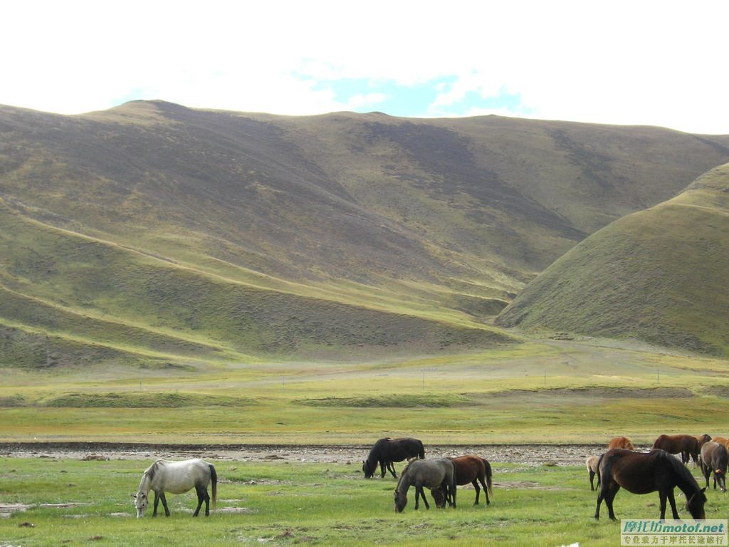 我的眼睛去旅行（更新中）