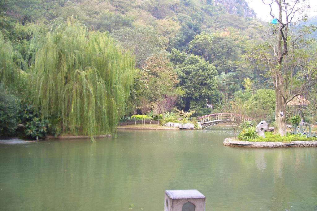 肥仔源 桂林阳朔 旅游