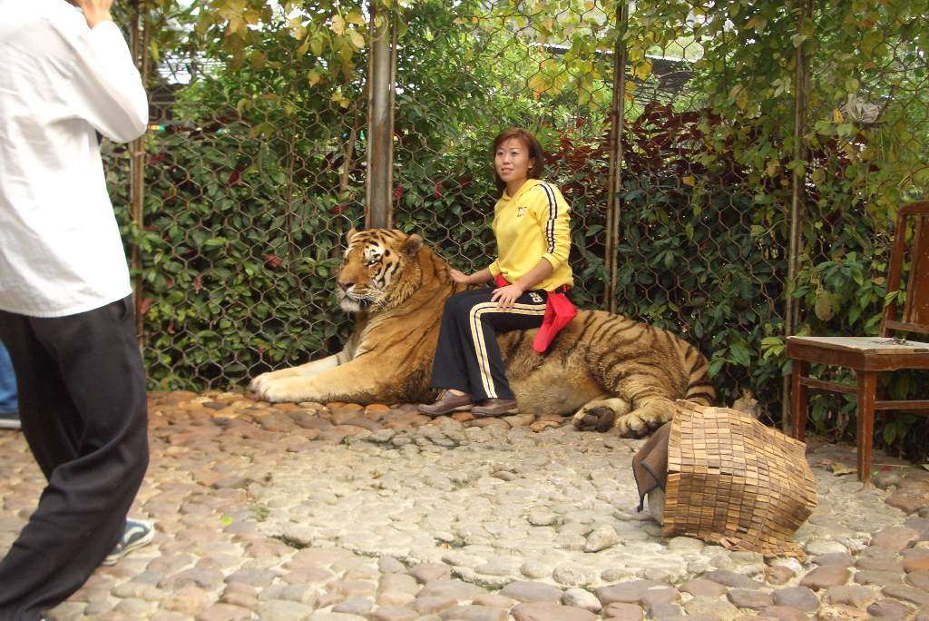 肥仔源 桂林阳朔 旅游