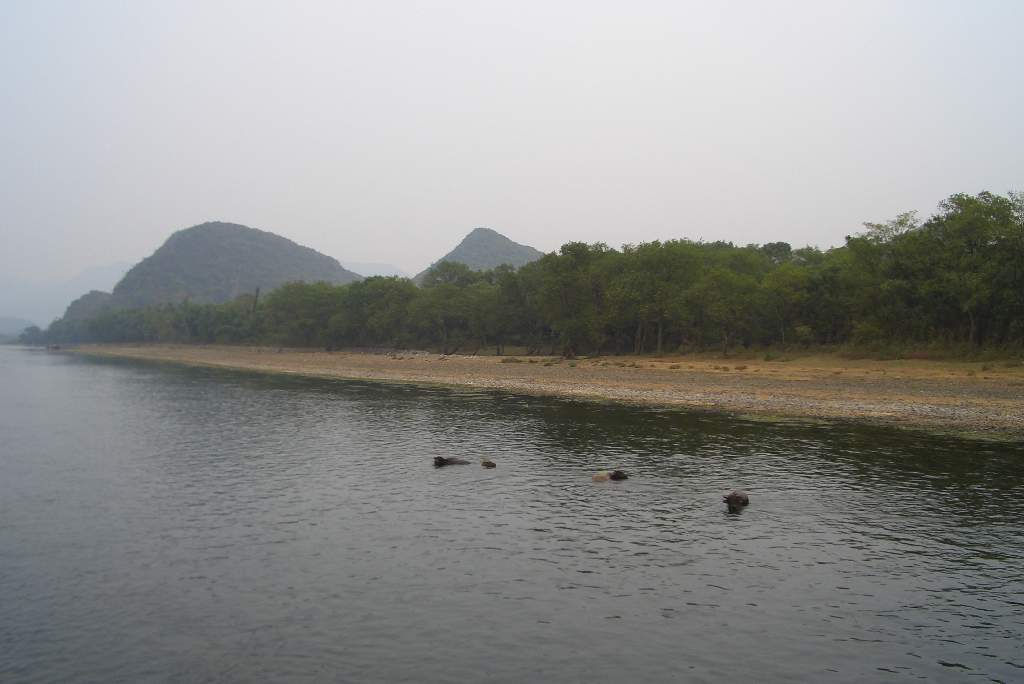 肥仔源 桂林阳朔 旅游