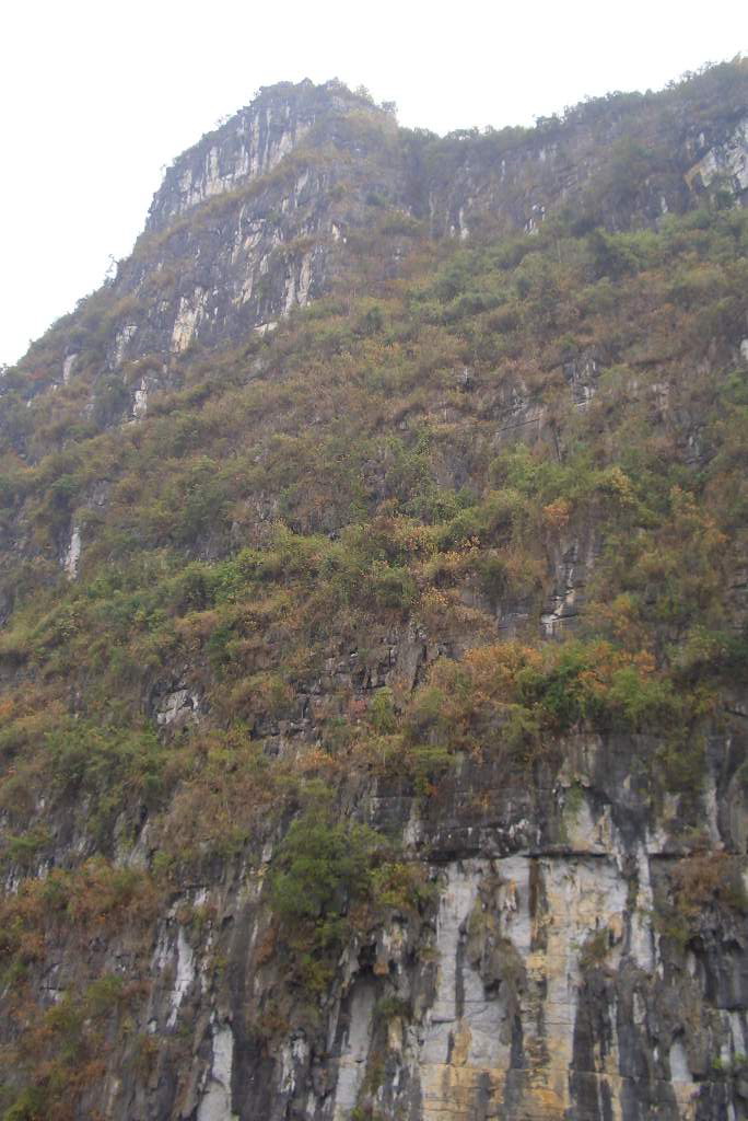 肥仔源 桂林阳朔 旅游