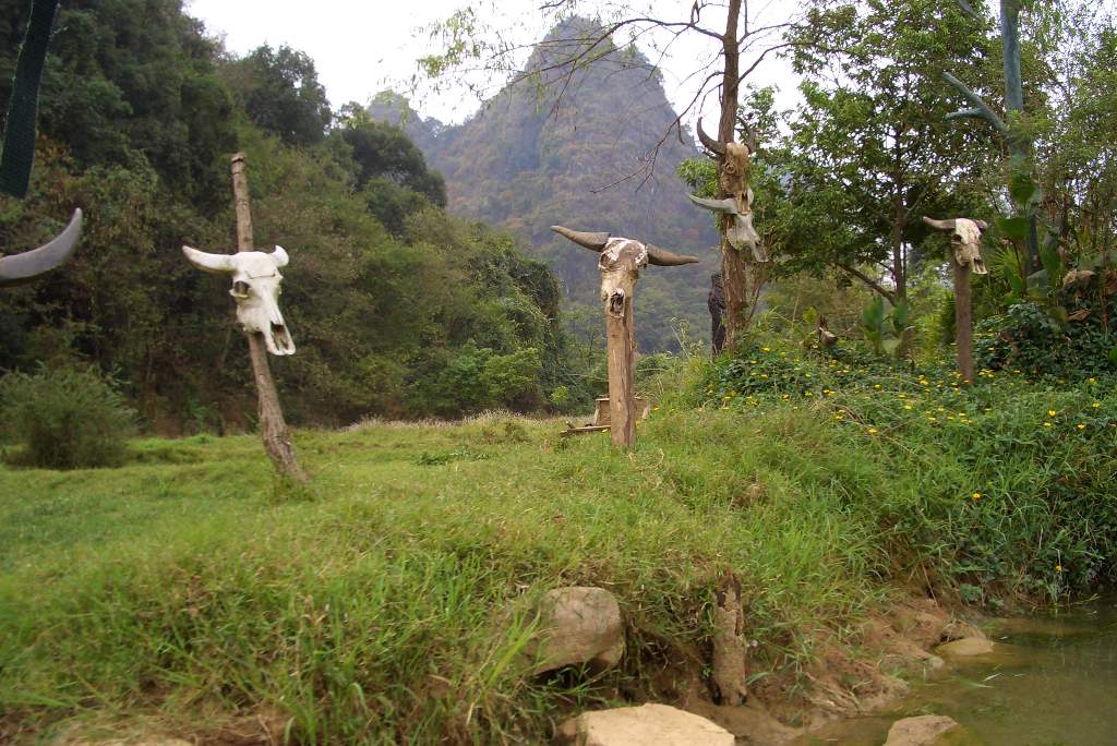 肥仔源 桂林阳朔 旅游