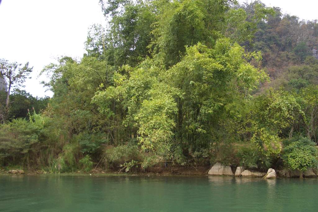 肥仔源 桂林阳朔 旅游