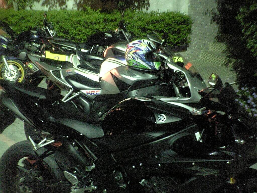 我的PGM4
