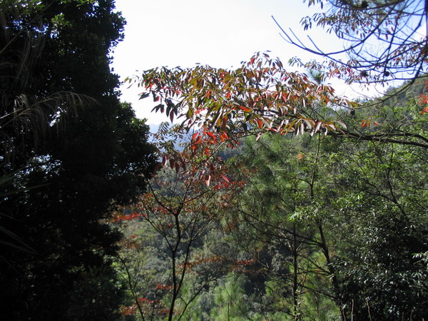 西游记人物之:11-12南昆山