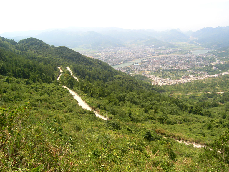 诚心问路