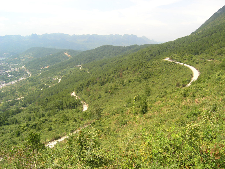 诚心问路