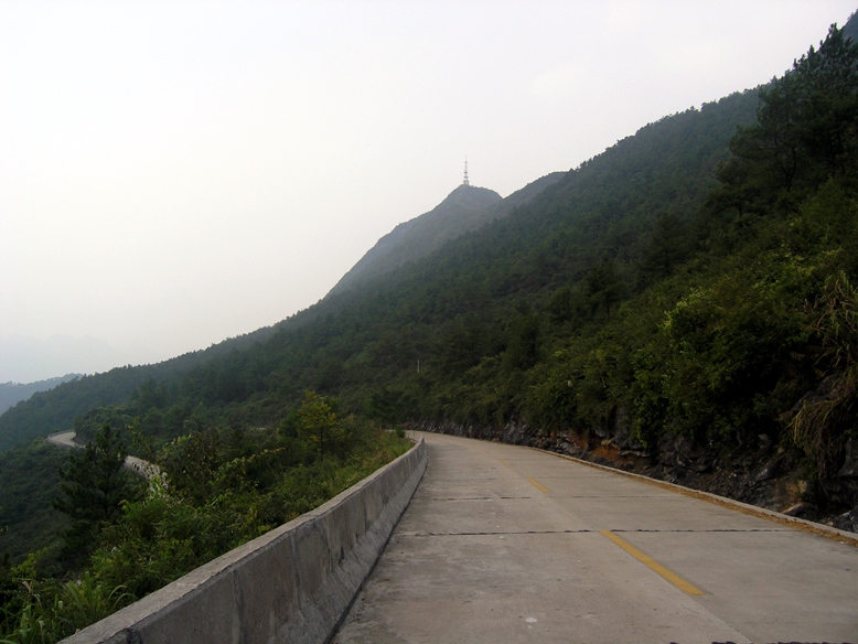 诚心问路