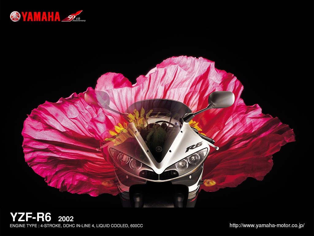 YAMAHA~50周年精美图片