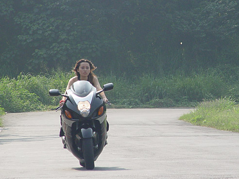 [贴图]女人+隼