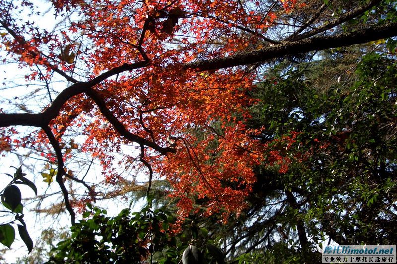 [原创]悠闲冬游浙东