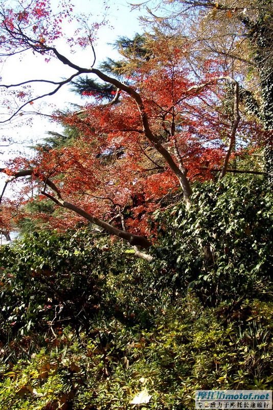 [原创]悠闲冬游浙东