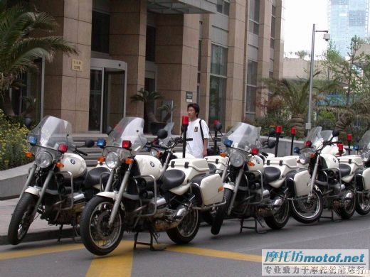 上海牛警
