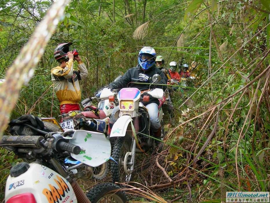 “大道”年底之集结---- 圣诞节之在希望的田野上