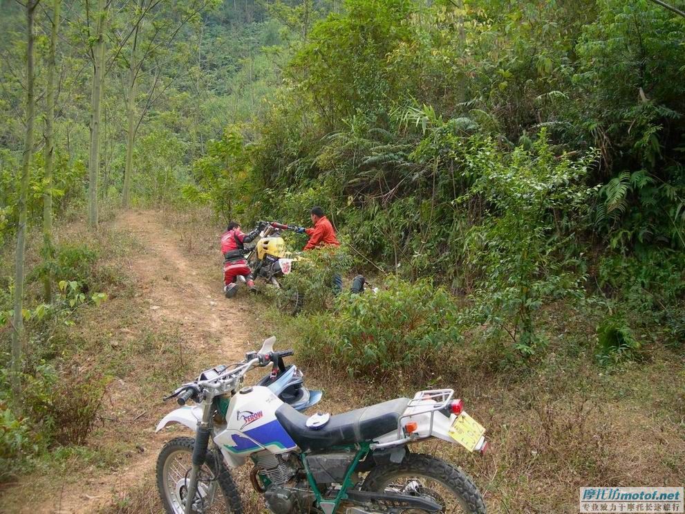 “大道”年底之集结---- 圣诞节之在希望的田野上