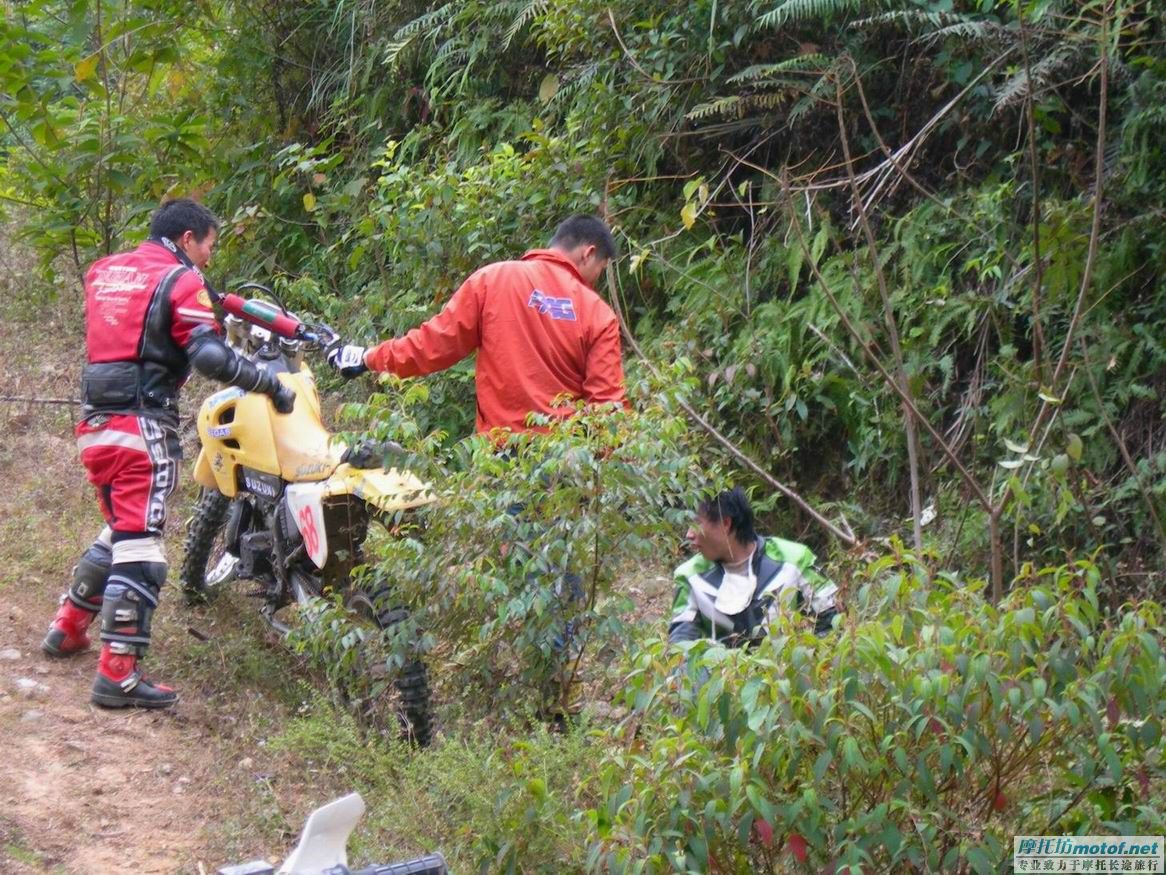 “大道”年底之集结---- 圣诞节之在希望的田野上