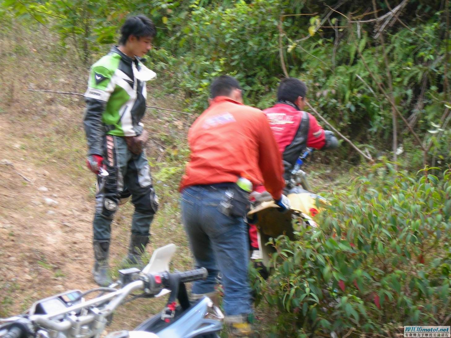 “大道”年底之集结---- 圣诞节之在希望的田野上