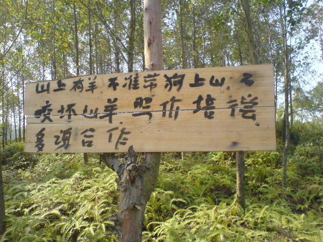 新英南昆山，龙门，温泉超级自助三日游安全归来