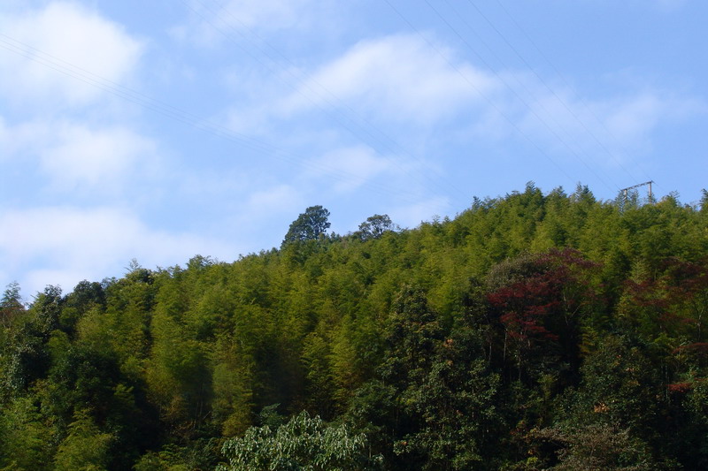 2005年12月3日南昆山，龙门三日超级自助游