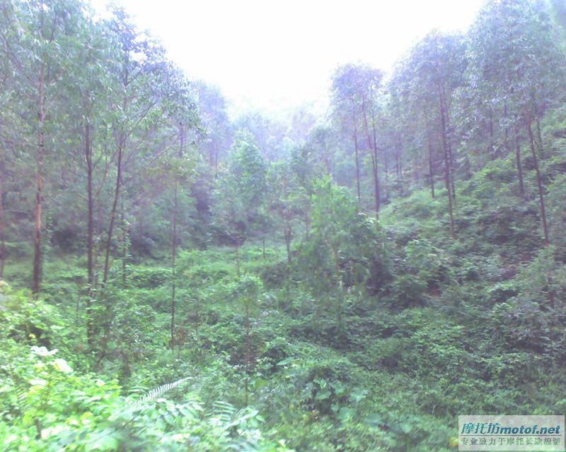 爬山目的是探路……以更新