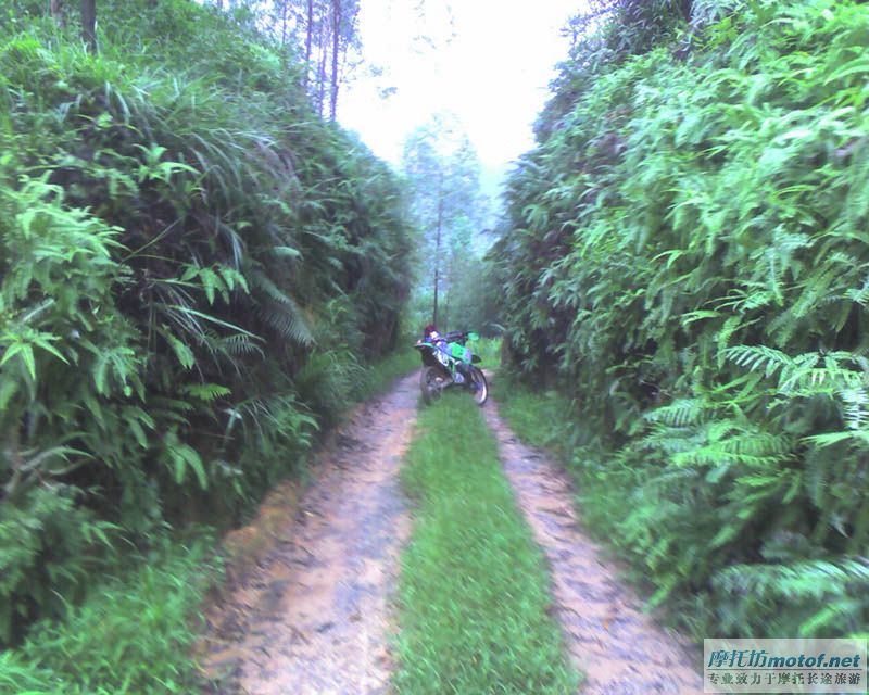 爬山目的是探路……以更新