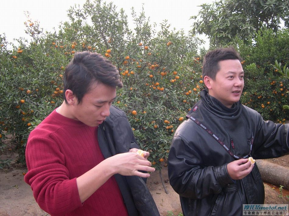 齐齐坐，摘果果！