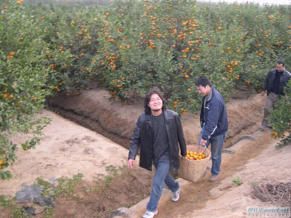 齐齐坐，摘果果！