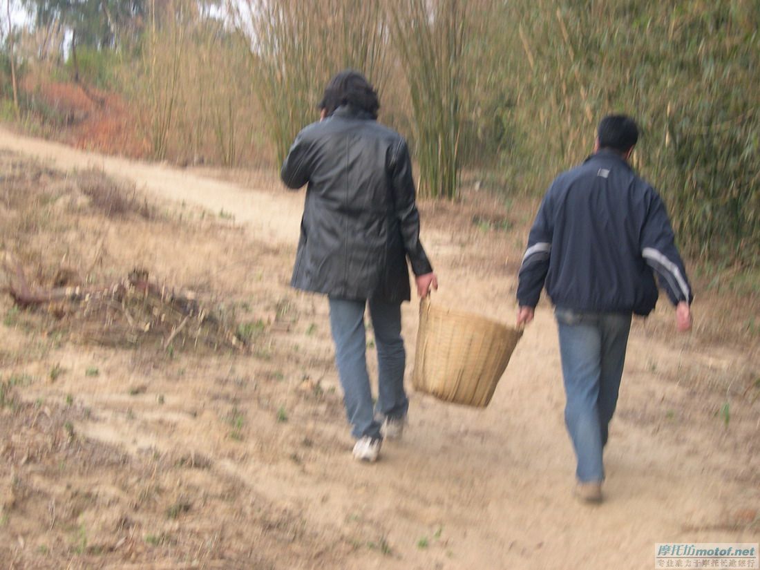齐齐坐，摘果果！